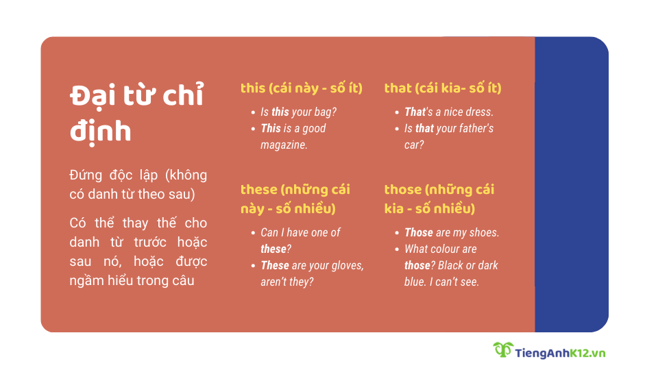 đại từ chỉ định